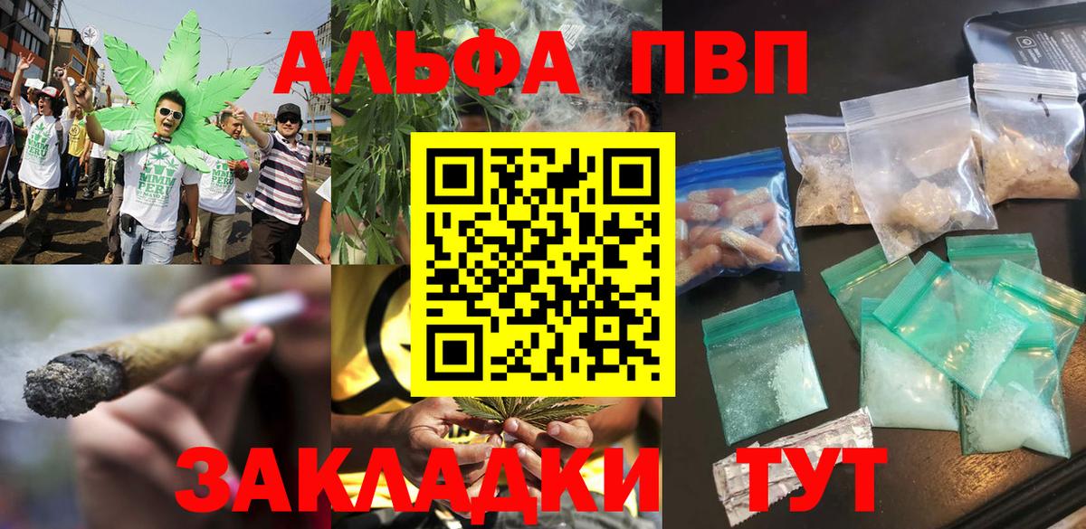 Alfa_PVP СК КРИС Долгопрудный