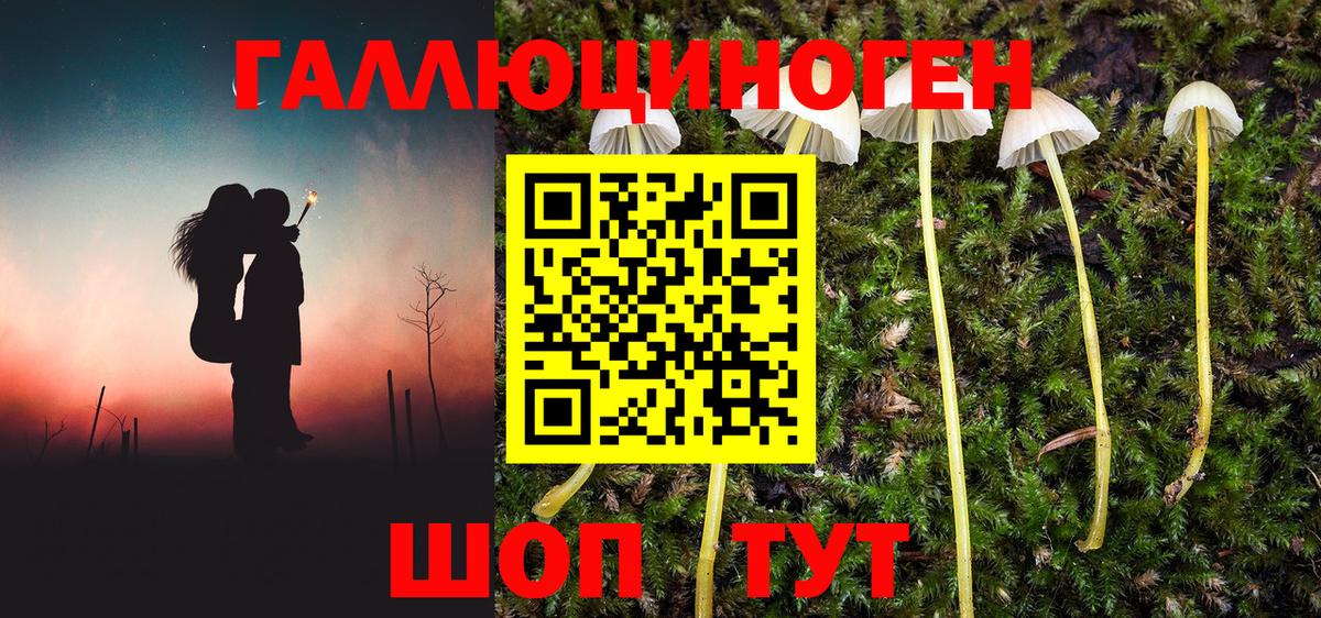 Псилоцибиновые грибы Cubensis  Вход с VPN  Долгопрудный 